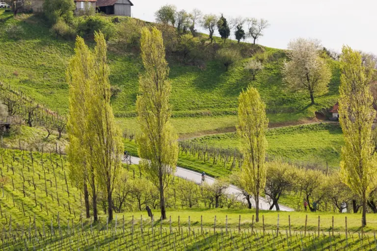 Frühlingslandschaft aus der Südsteiermark