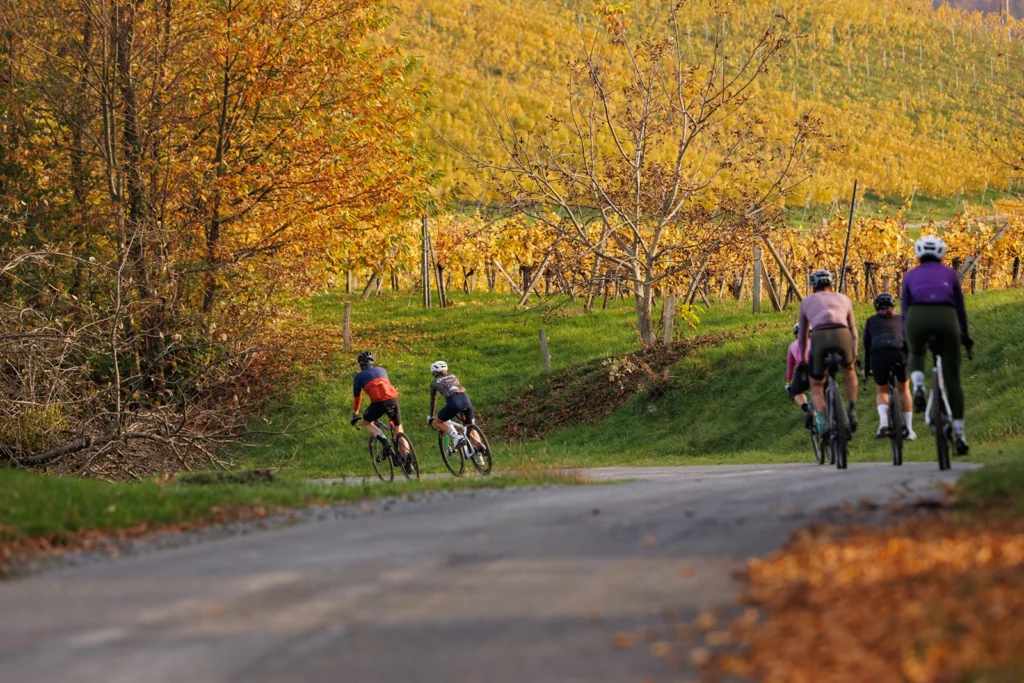 Ausrollen Toureninfos Rennrad