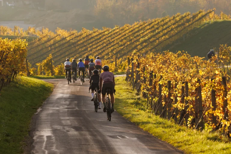 Ausrollen - Rennrad Siasonausklang in der Südsteiermark