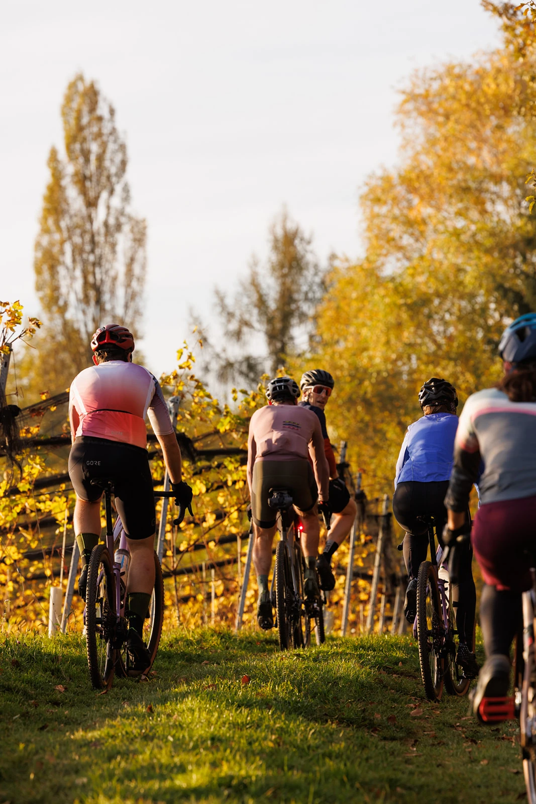 ausrollen-Saisonausklang-Rennrad-Gravel-Suedsteiermark