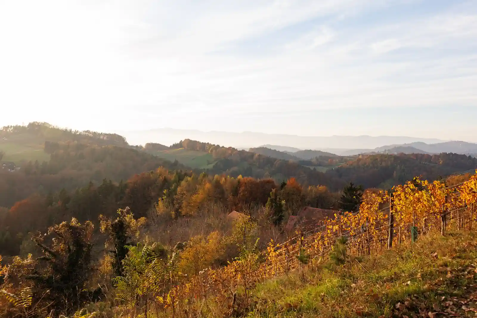 Südsteiermark im Herbst